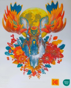 kodak-dtf-folia-45cmx100m-rolka-oeko-tex-hurt-sprzedaz-rolka-paleta